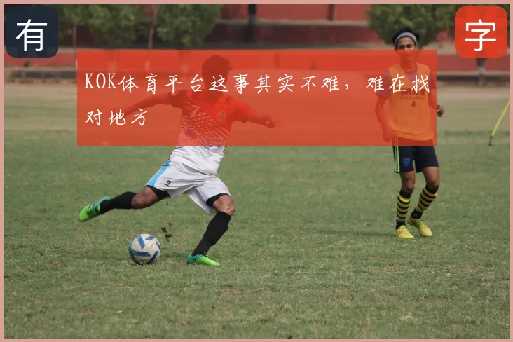 KOK体育平台这事其实不难，难在找对地方
